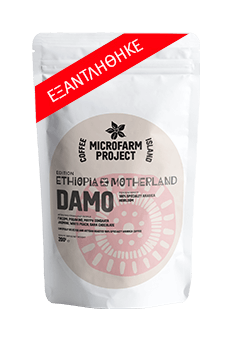 Ethiopia Motherland Damo