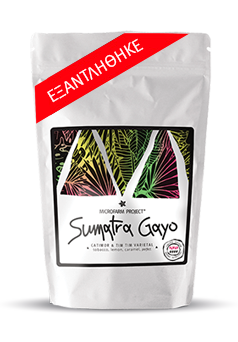 Sumatra Gayo
