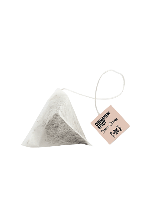 Pyramid Cinnamon Spicy Herbal Tea (10 pcs.)