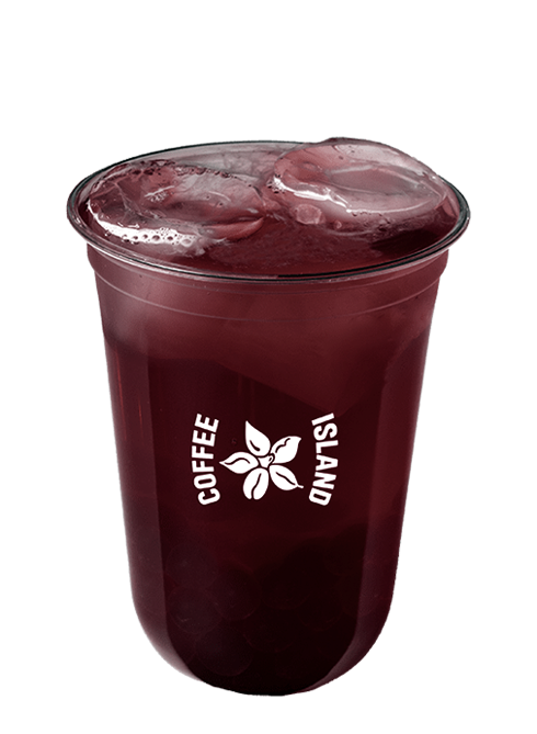 Bobastic Blueberry Tea 16oz