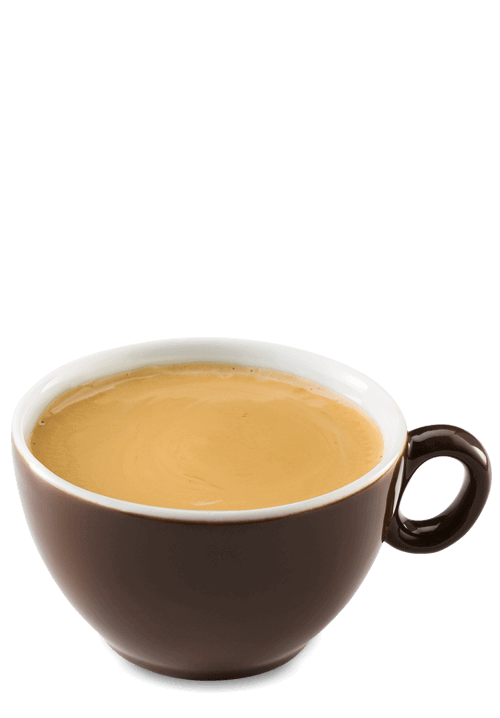 Hot Coffeeccino 16oz