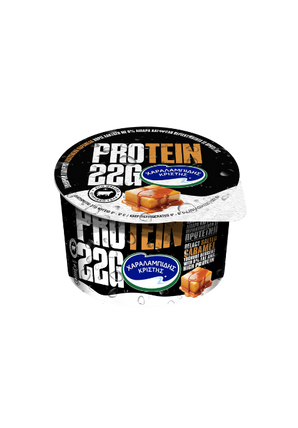 Protein Yogurt Dessert Caramel