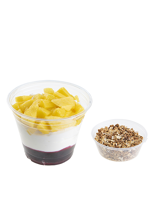 Granola & Blackcurrant Yogurt Dessert