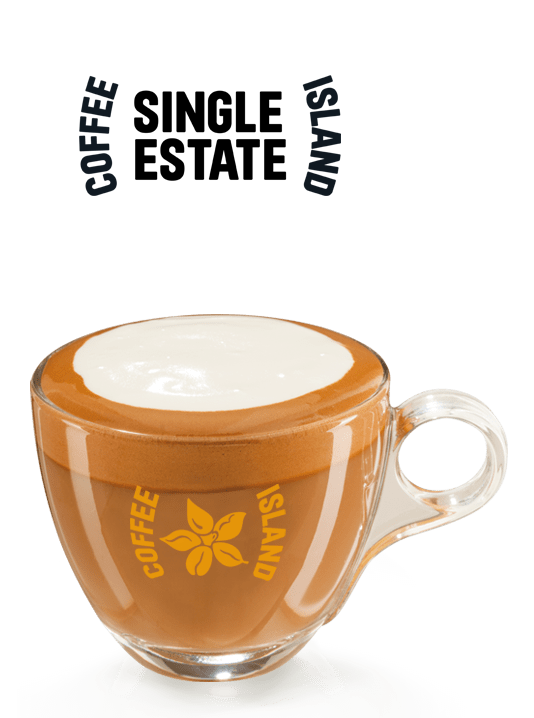 Flat White Single Estate
