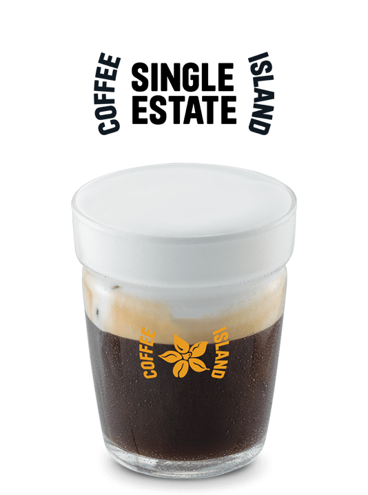 Freddo Cappuccino Single Estate