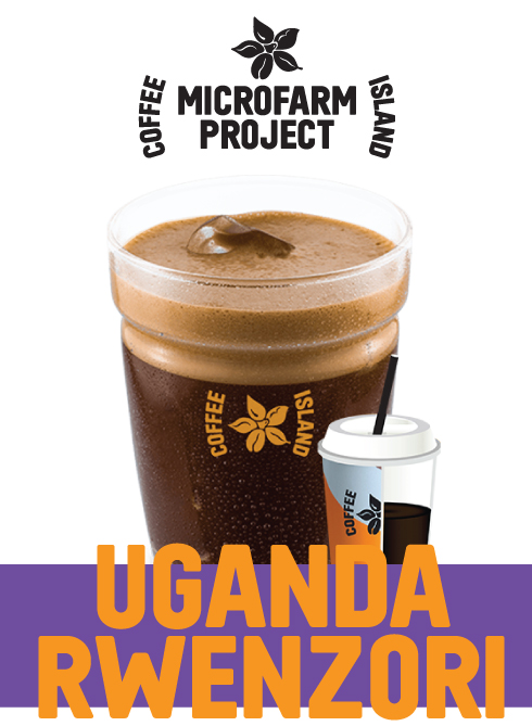Freddo Espresso MicroFarm 12oz