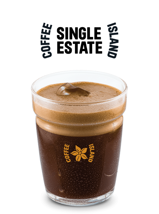 Freddo Espresso Single Estate