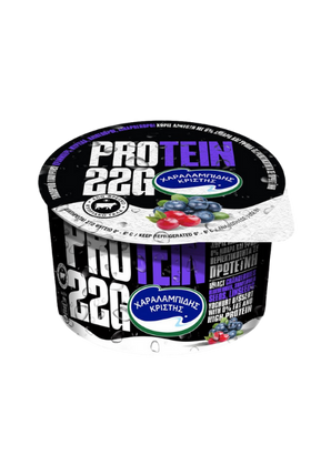 Protein Yoghurt with Berries Flavour