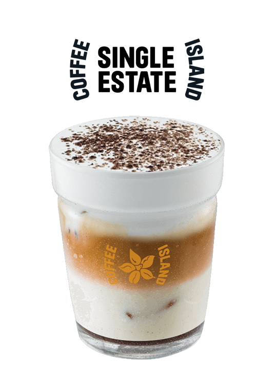 Iced Latte Mocha Single Estate