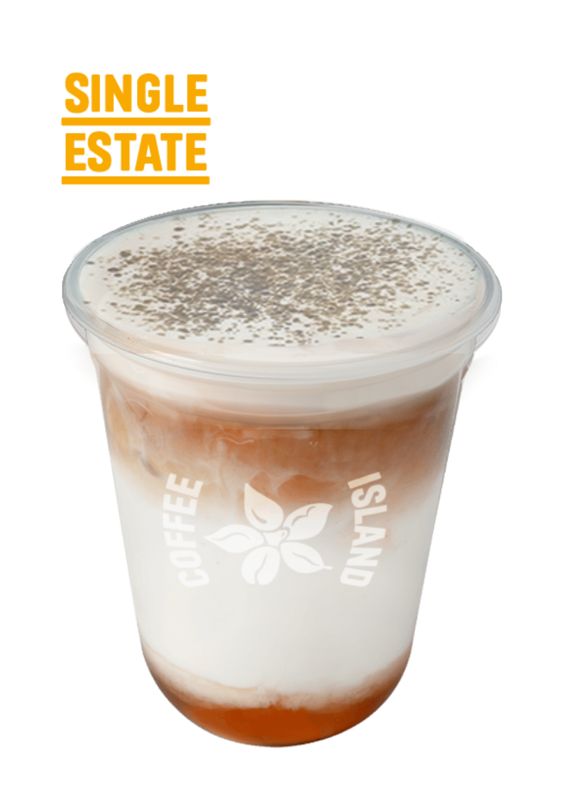 Iced Latte Mocha Single Estate 16oz
