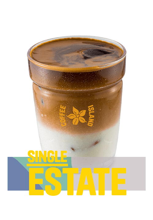 Iced Latte Single Estate Iced Espesso Based Cyprus