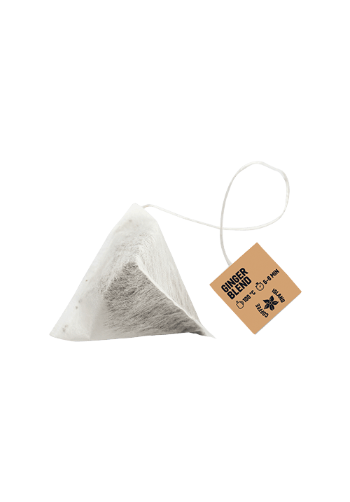 Pyramid Ginger Blend Herbal Tea (10 pcs.)