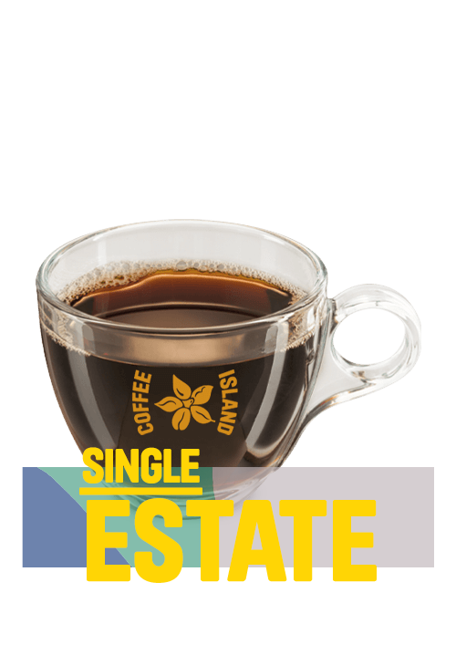 Americano Single Estate 12oz
