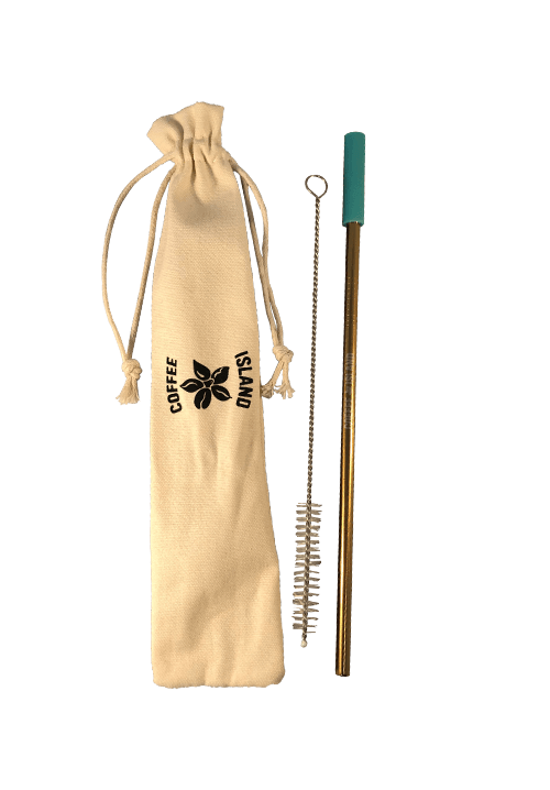 Reusable Metal Straw (Gold - Aqua)