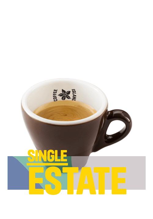 Espresso Single Estate