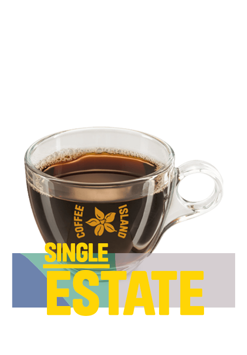 Φίλτρου V60 Single Estate