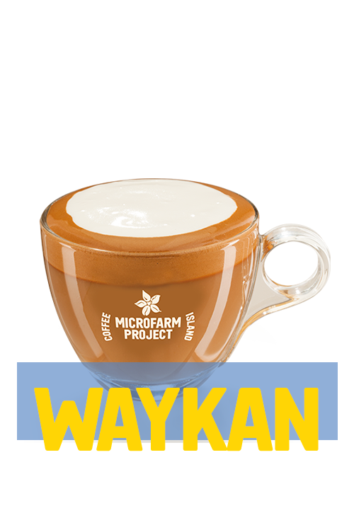 Flat White MicroFarm®