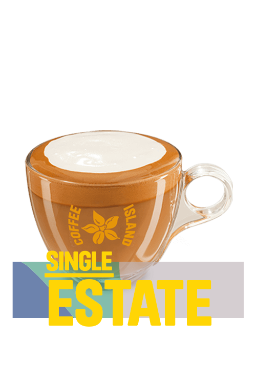 Flat White Single Estate 8oz