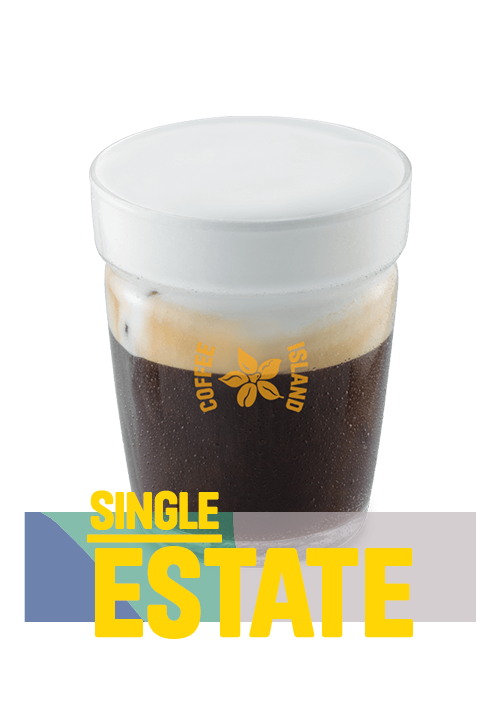 Freddo Cappuccino Single Estate 12oz