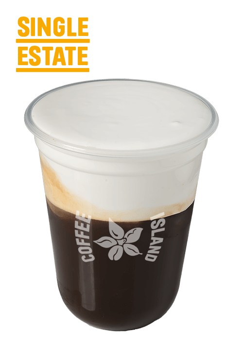 Freddo Cappuccino Single Estate 16oz