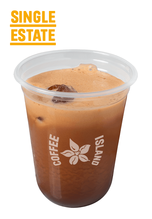 Freddo Espesso Double Single Estate 16oz