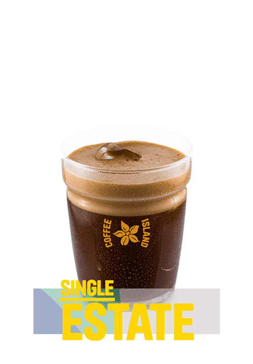 Freddo Espresso Single Estate