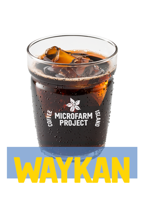 Iced Americano MicroFarm®