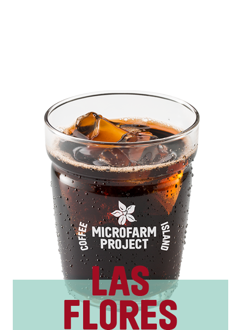 Iced Americano MicroFarm 12oz