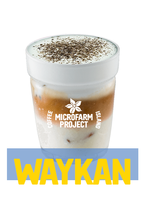 Iced Latte Mocha MicroFarm®