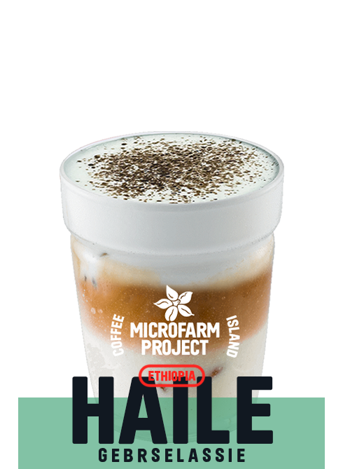 Iced Latte Mocha MicroFarm 16oz
