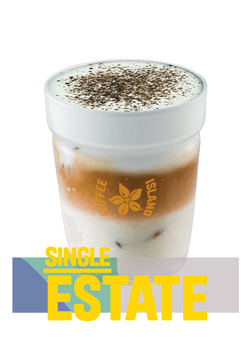Iced Latte Mocha Single Estate 16oz