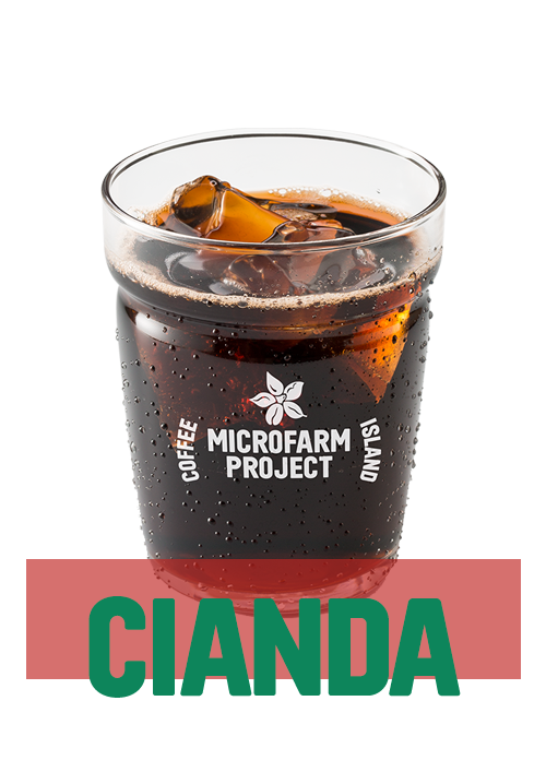 Iced Filter V60 MicroFarm