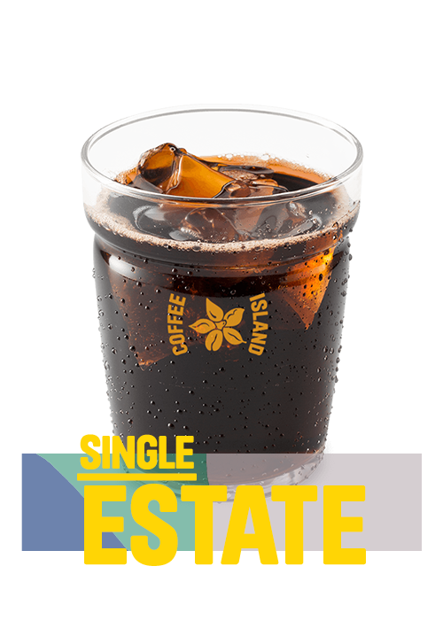 Κρύος Φίλτρου V60 Single Estate