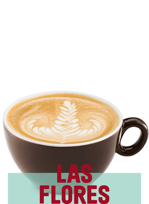 Latte MicroFarm 16oz