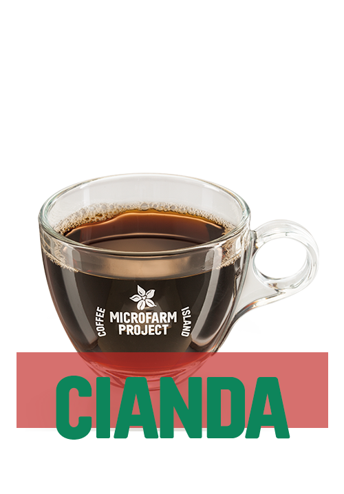 Lungo MicroFarm 12oz