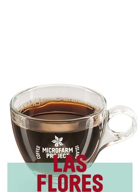 Lungo MicroFarm 12oz