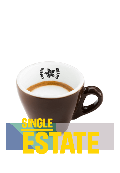 Macchiato Single Estate 8oz
