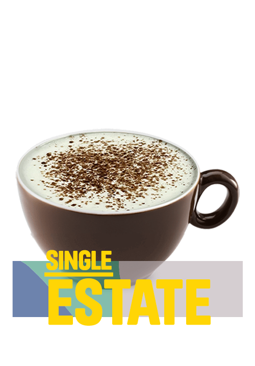 Mocha Latte Single Estate 16oz