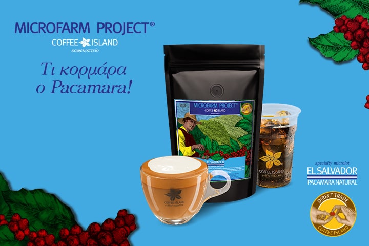 MicroFarm Project: El Salvador – Pacamara