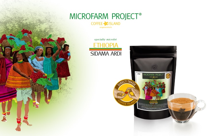 Microfarm Project: Ethiopia Sidama Ardi