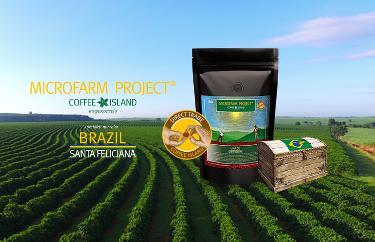 MicroFarm Project®: Brazil Santa Feliciana