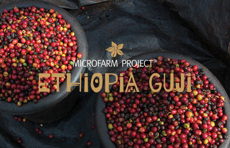 MICROFARM PROJECT® ETHIOPIA GUJI