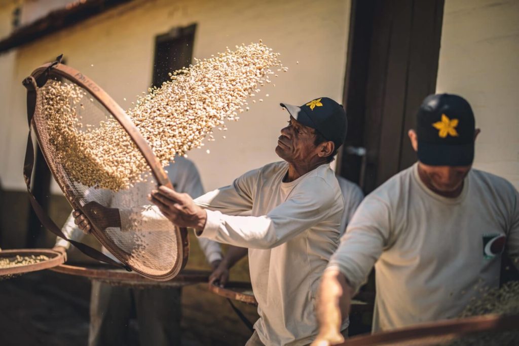 coffee workers