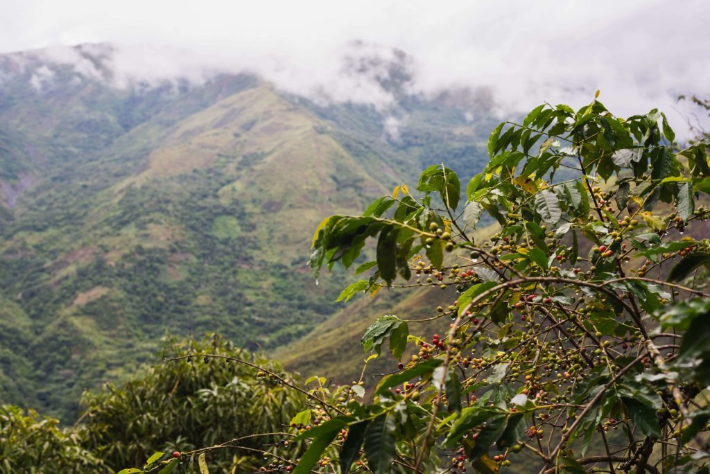 peru