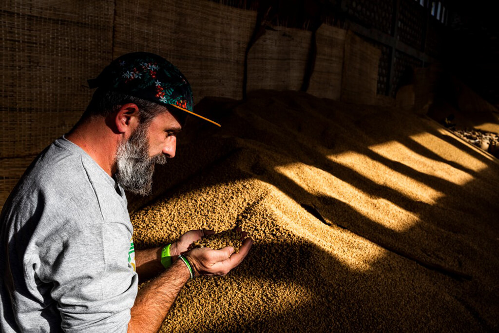 man_holding_coffee_beans