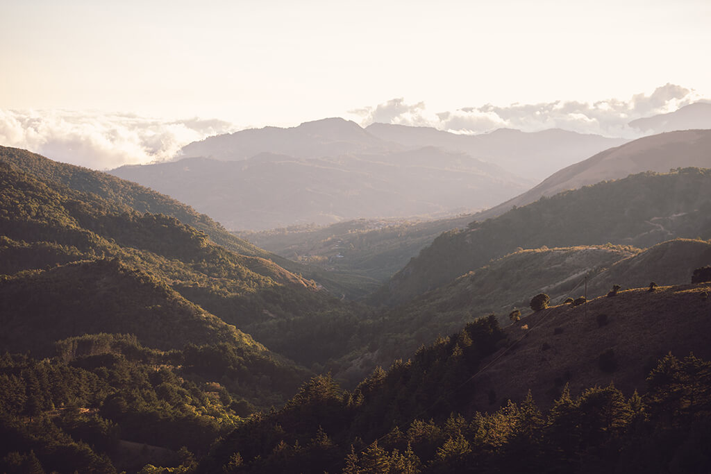 new horizons in the coffee world