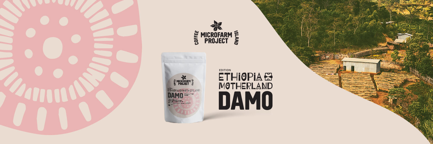 Ethiopia Damo: The First Chapter of Ethiopia Motherland Edition