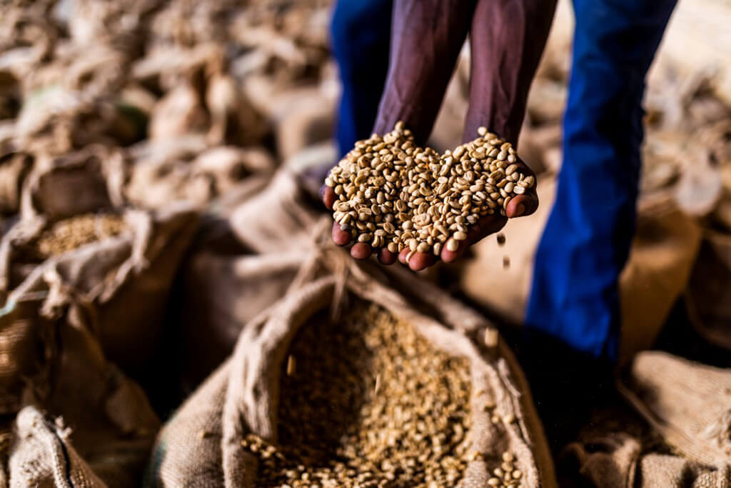 hands_coffee_beans