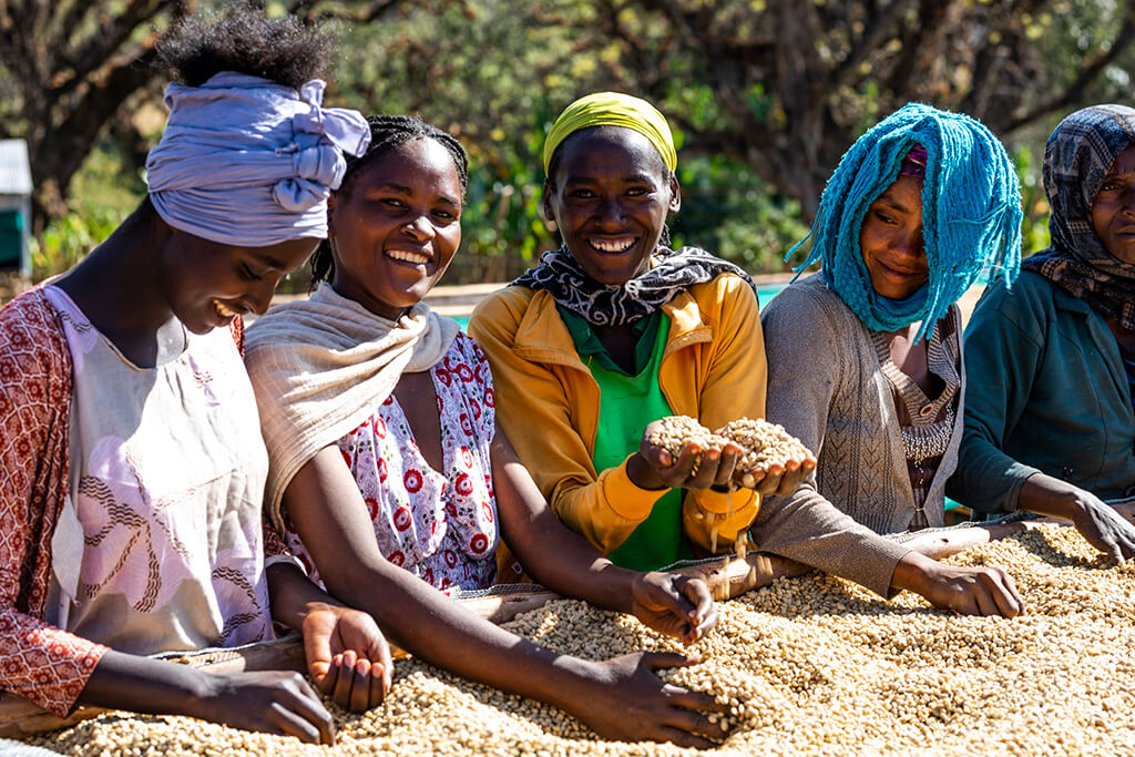 Ethiopia Kutigenge: Κι όμως η συγκίνηση έχει άρωμα Microfarm