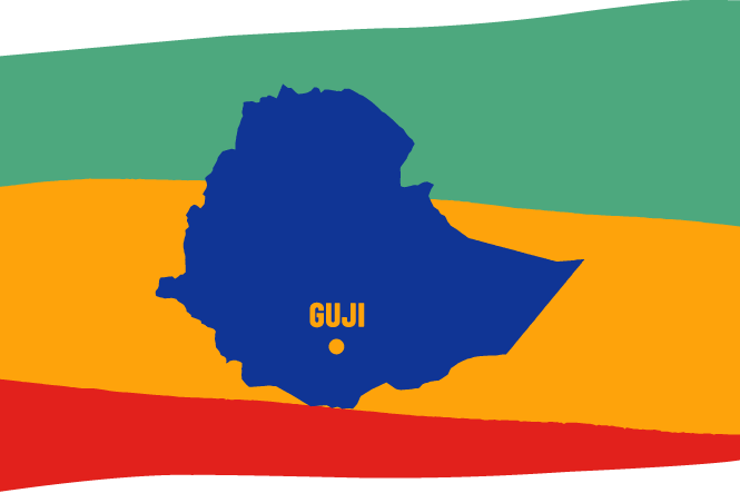 Ethiopia Guji Συσκευασμένος 200γρ